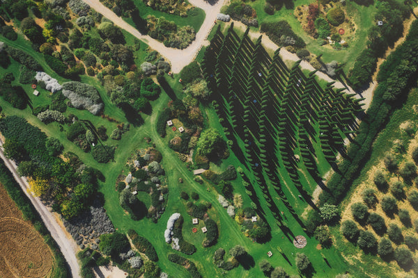 Cosa fare in Maremma? Visita BotanicalDryGarden!