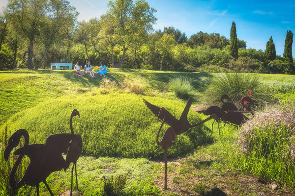 Cosa puoi fare per proteggere la biodiversità