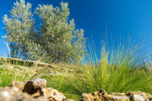 Vacanze ecologiche: 5 consigli per un’estate sostenibile