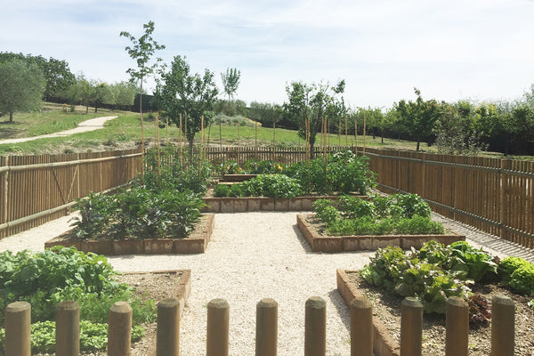 Fare giardinaggio etico per salvare il mondo