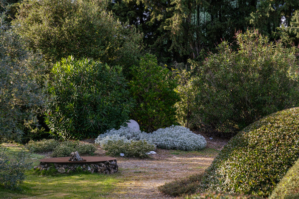 Giardino selvatico e dry garden: l'importanza di lasciare alla natura il suo spazio
