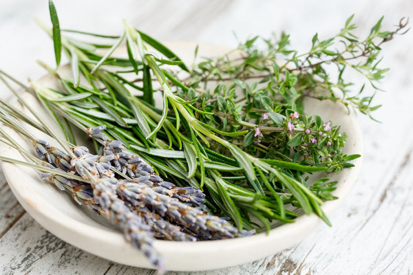 Piante aromatiche perenni da usare in cucina