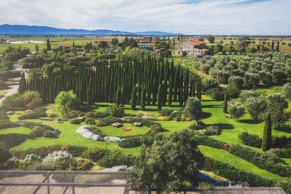 Luoghi da visitare in Toscana: Orbetello tra natura mozzafiato e Botanical Dry Garden by night