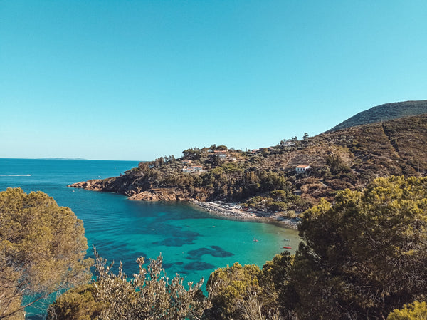 Macchia mediterranea