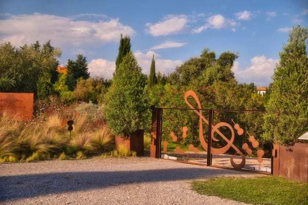 Giardini che respirano: piante che catturano CO2 e resistono alla siccità