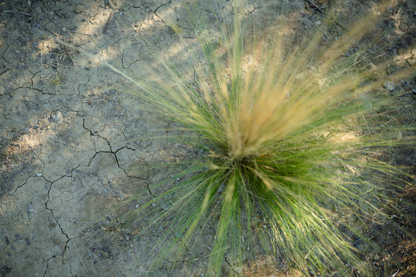 Terra arida per mancanza di acqua durante una lunga siccità