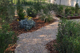 Gravel garden