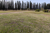 Prairies sèches