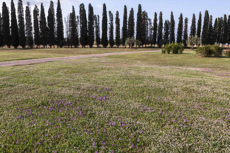 Prairies sèches
