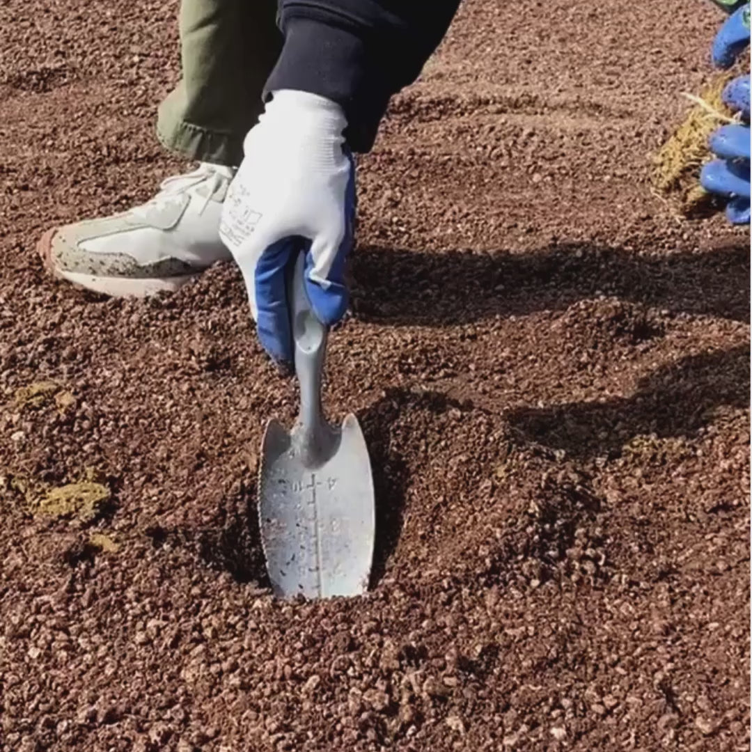 Sustrato universal BIO