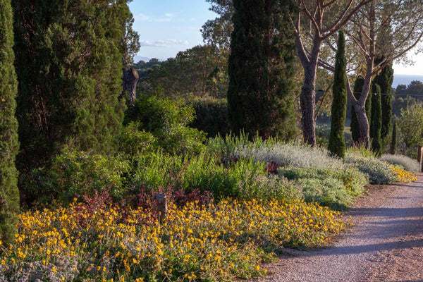Bordures, haies et parterres de fleurs