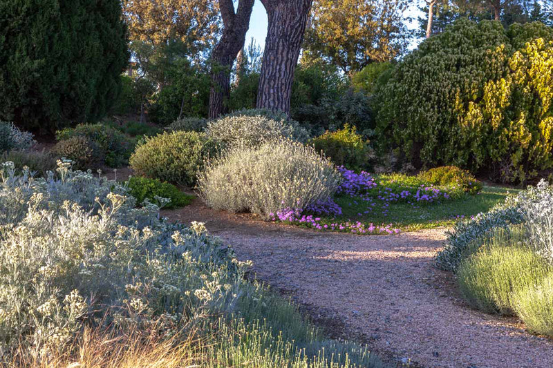 Bordures, haies et parterres de fleurs