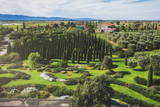BotánicoSecoJardín