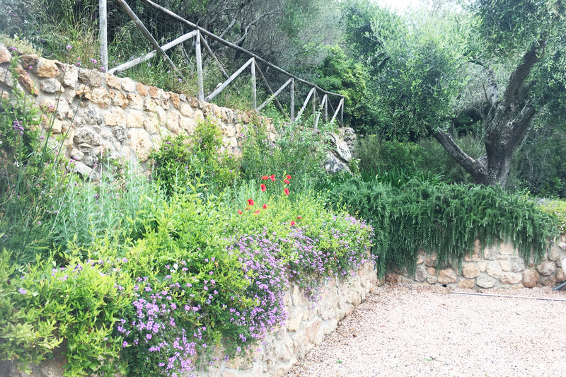 Bordures, haies et parterres de fleurs