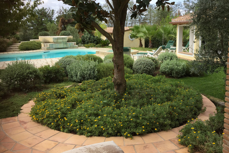 Bordures, haies et parterres de fleurs