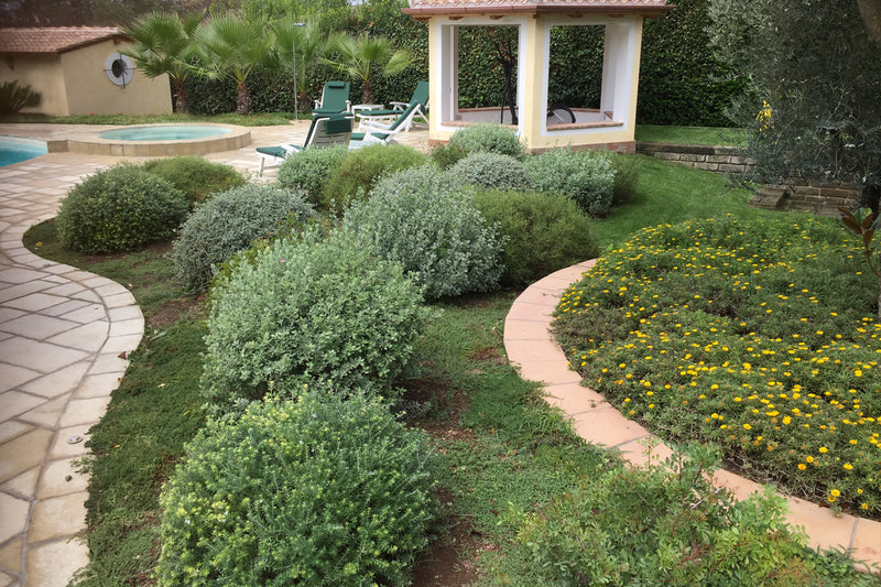 Bordures, haies et parterres de fleurs