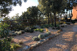 Gravel garden