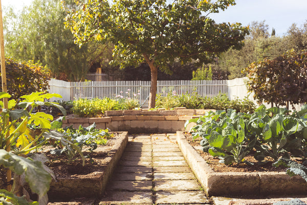 Jardins