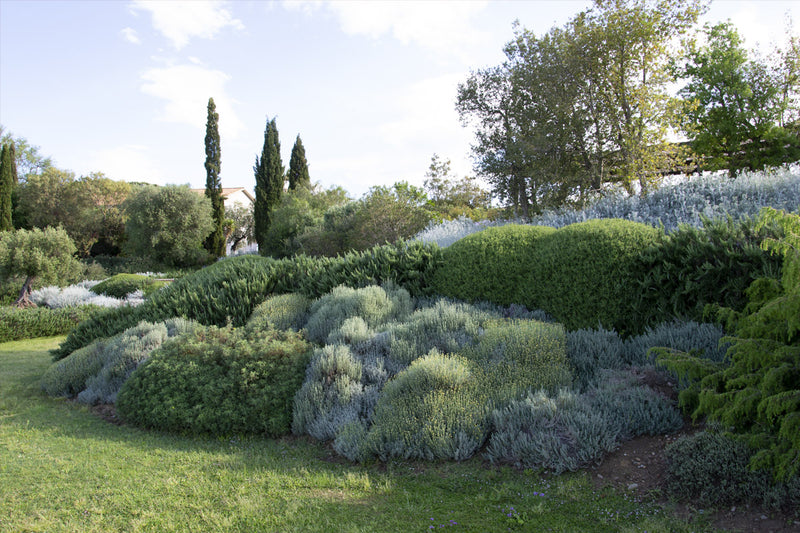 Escarpements