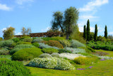 Escarpements