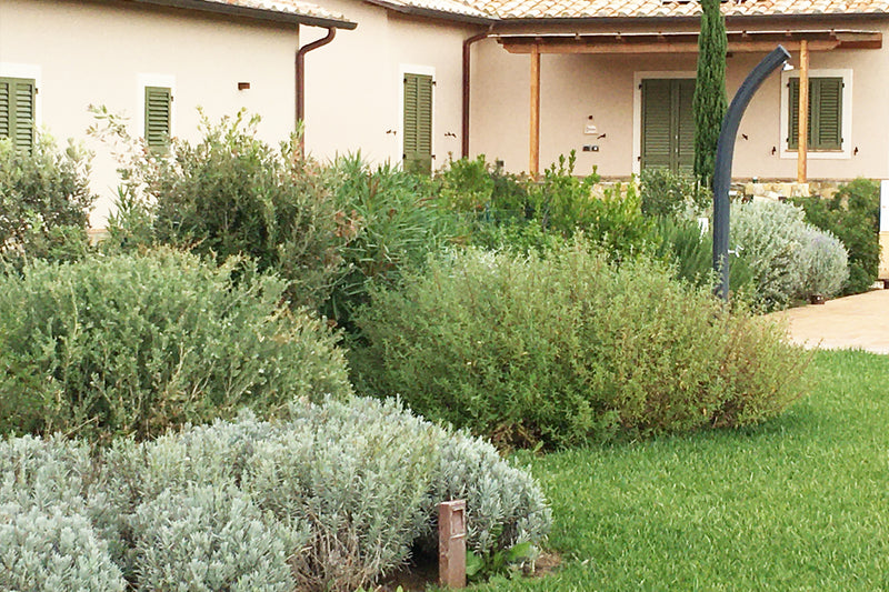 Bordures, haies et parterres de fleurs