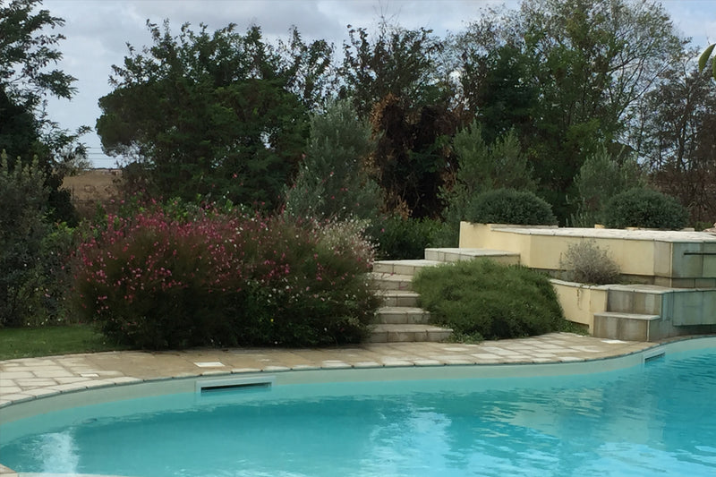 Bordures, haies et parterres de fleurs
